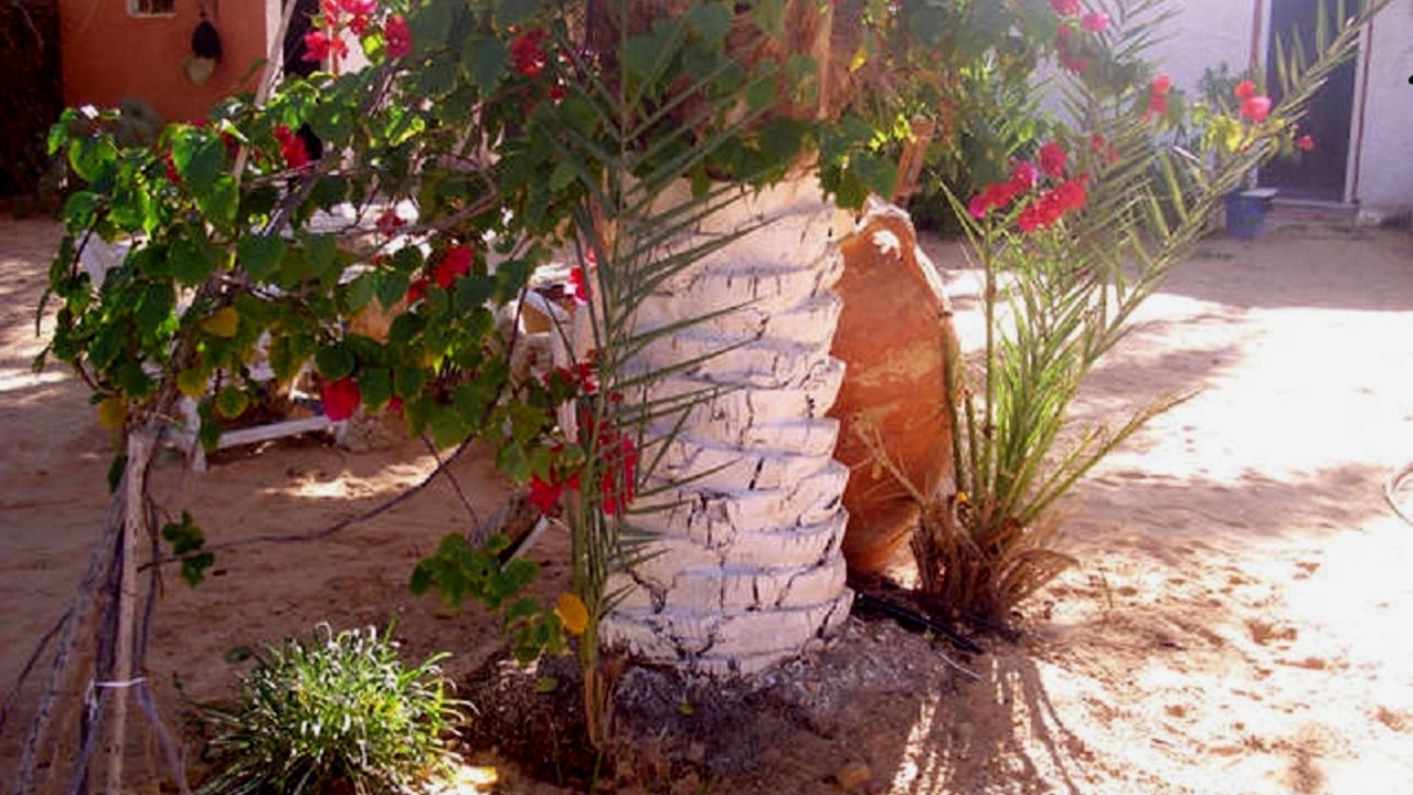 Photo of Outdoor in Douz