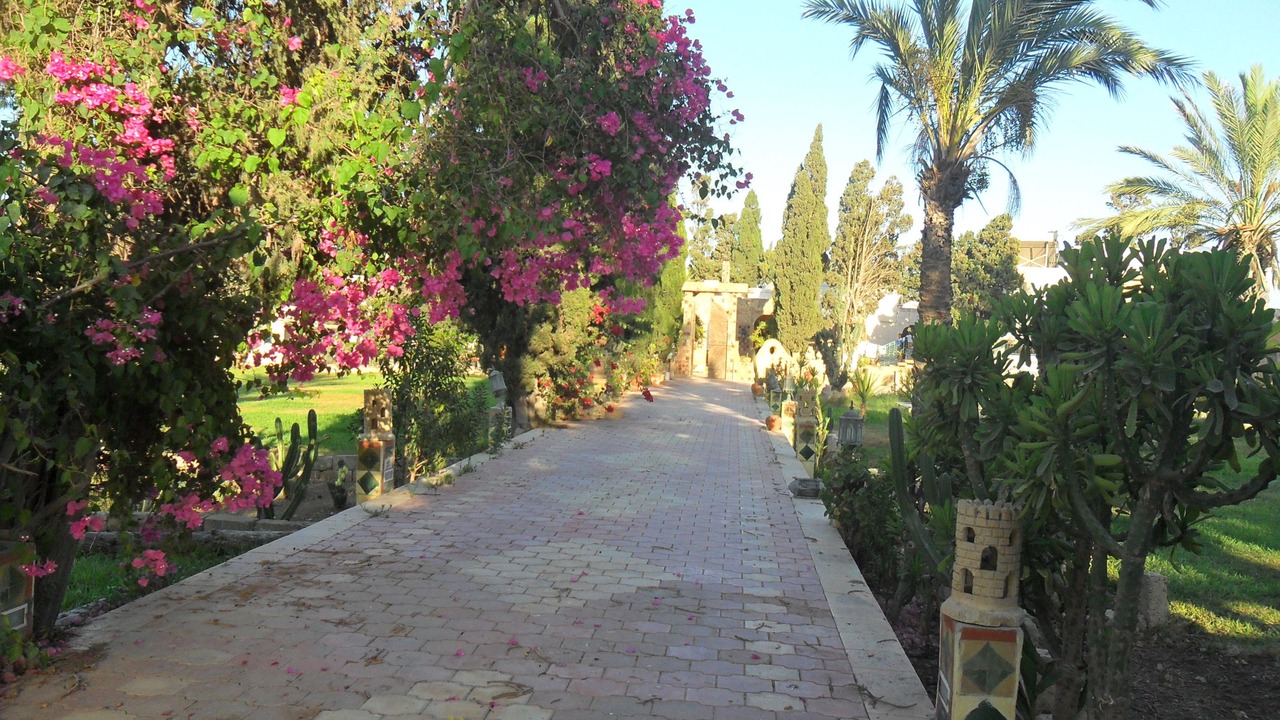 Photo of Outdoor in El Maamoura