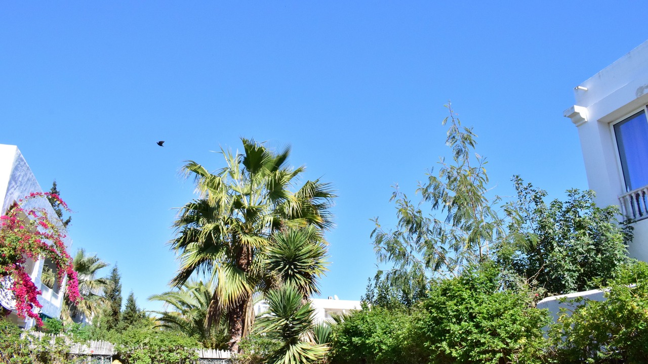 Photo of Outdoor in Hammamet