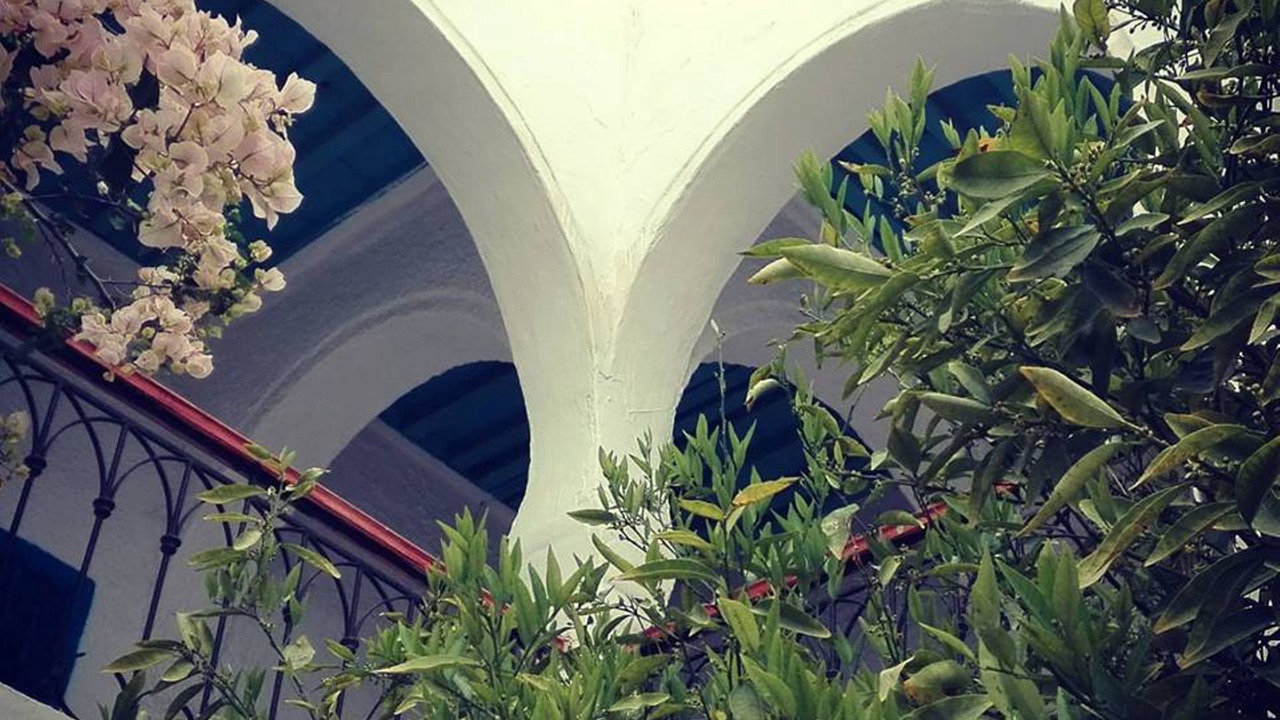 Photo of Outdoor in Houmt Souk