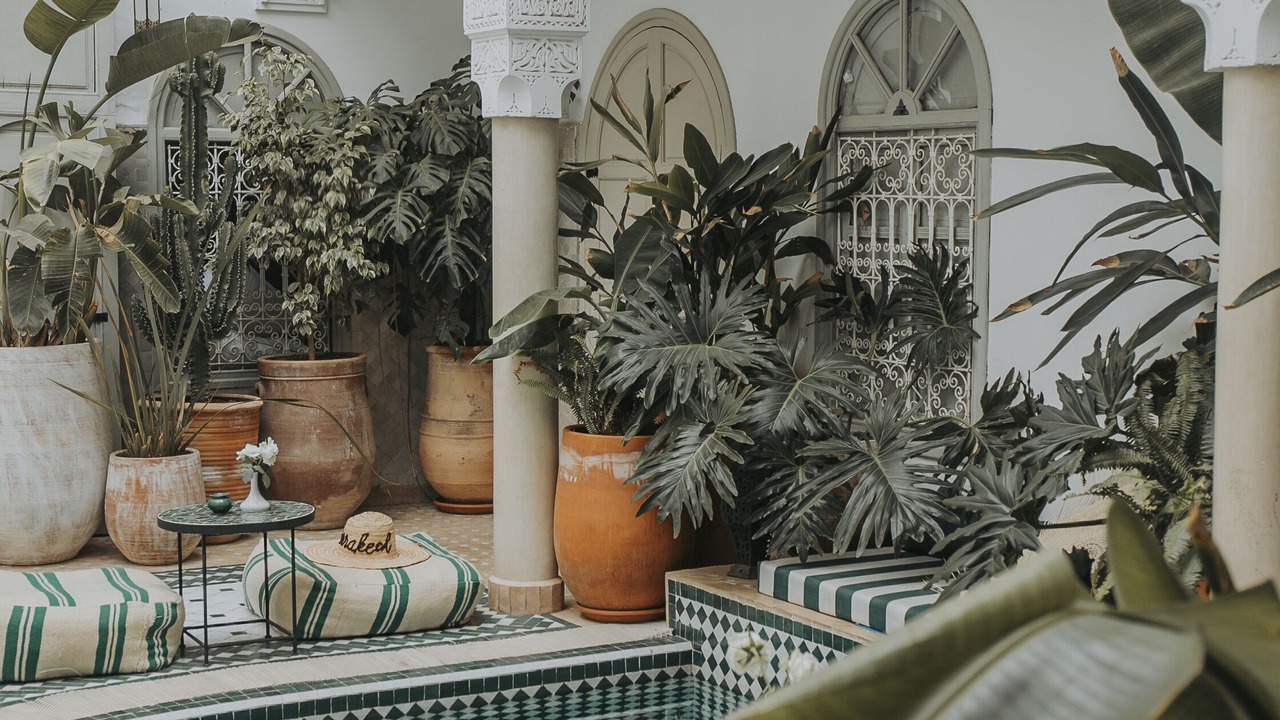 Photo of Patio Balcony in Zaouia Sidi Rhalem