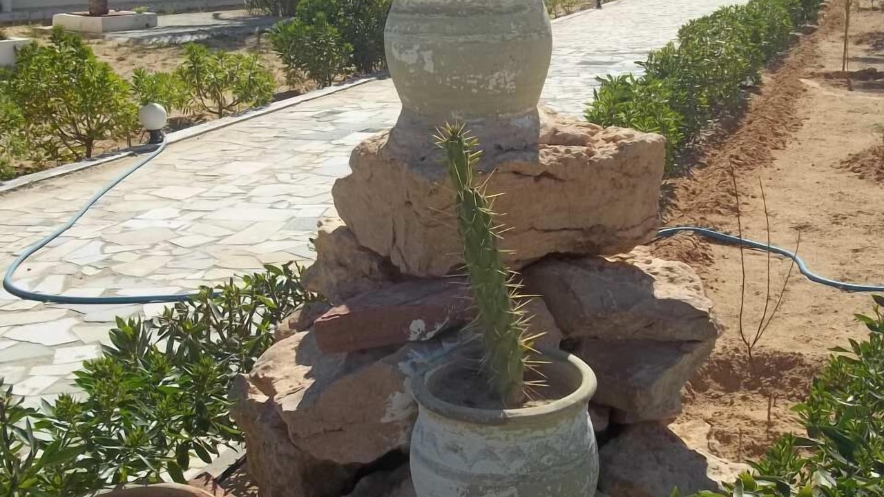 Photo of Outdoor in Djerba Midun