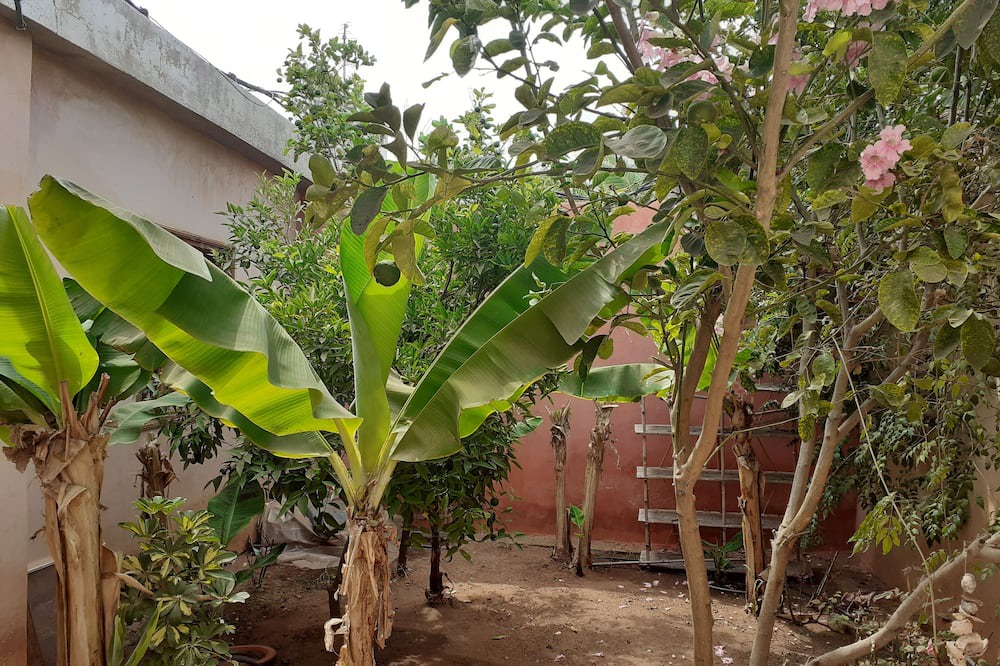 Photo of Outdoor in Essaouira