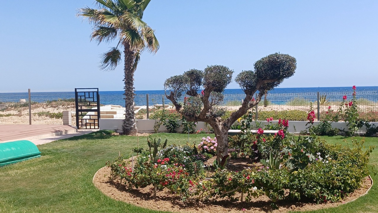 Photo of Outdoor in Tantana