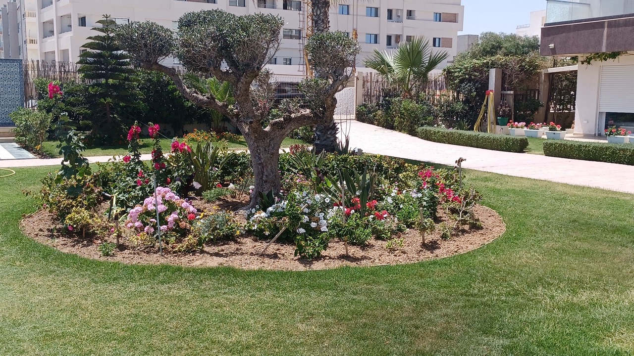 Photo of Outdoor in Tantana
