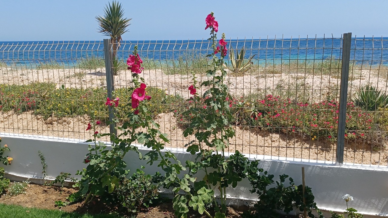 Photo of Outdoor in Tantana