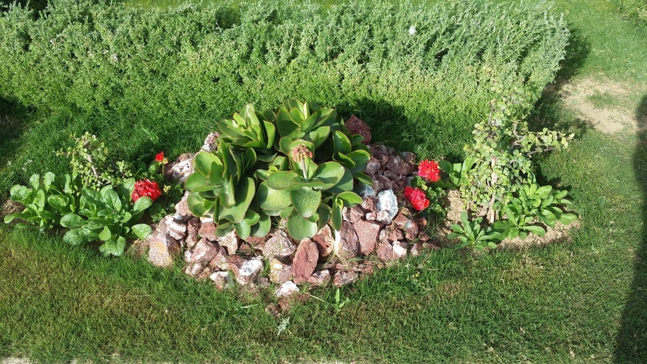 Photo of Outdoor in Tantana