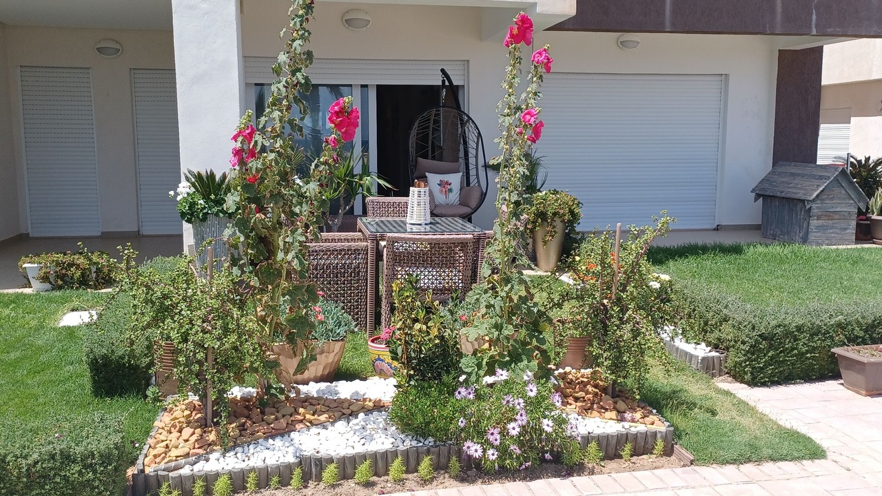 Photo of Outdoor in Tantana