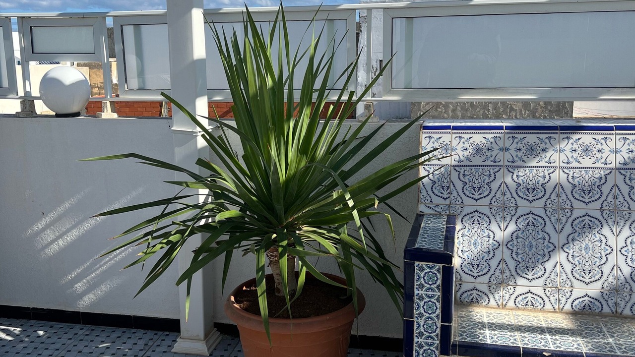 Photo of Outdoor in Borj Erras