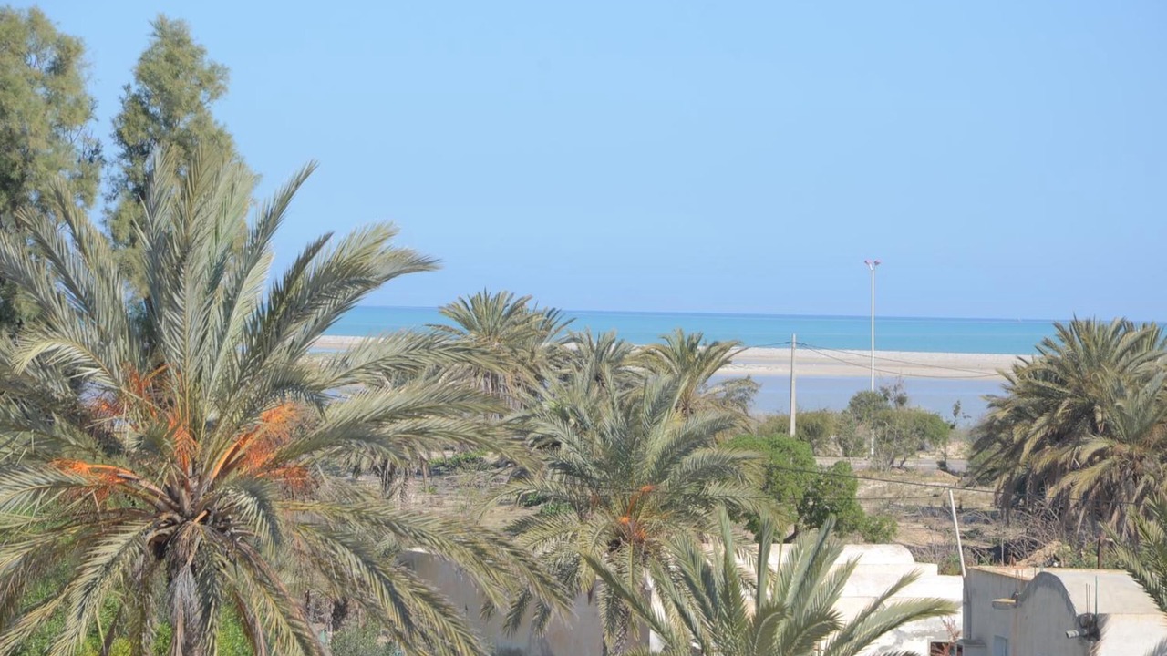 Photo of Others in Mezraia