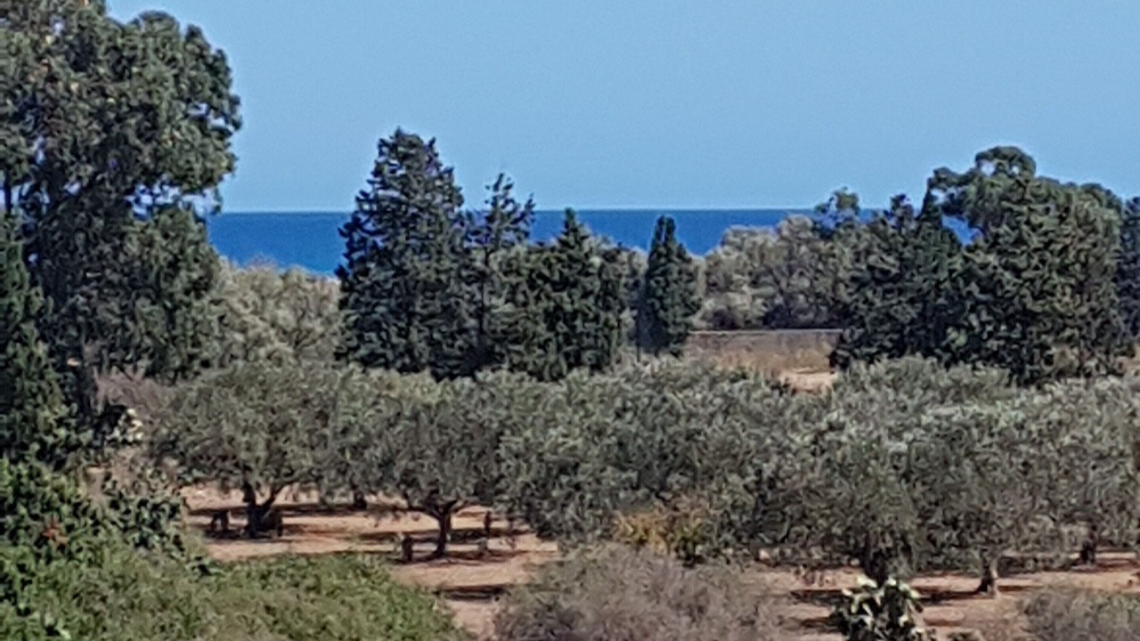 Photo of Others in Tazerka