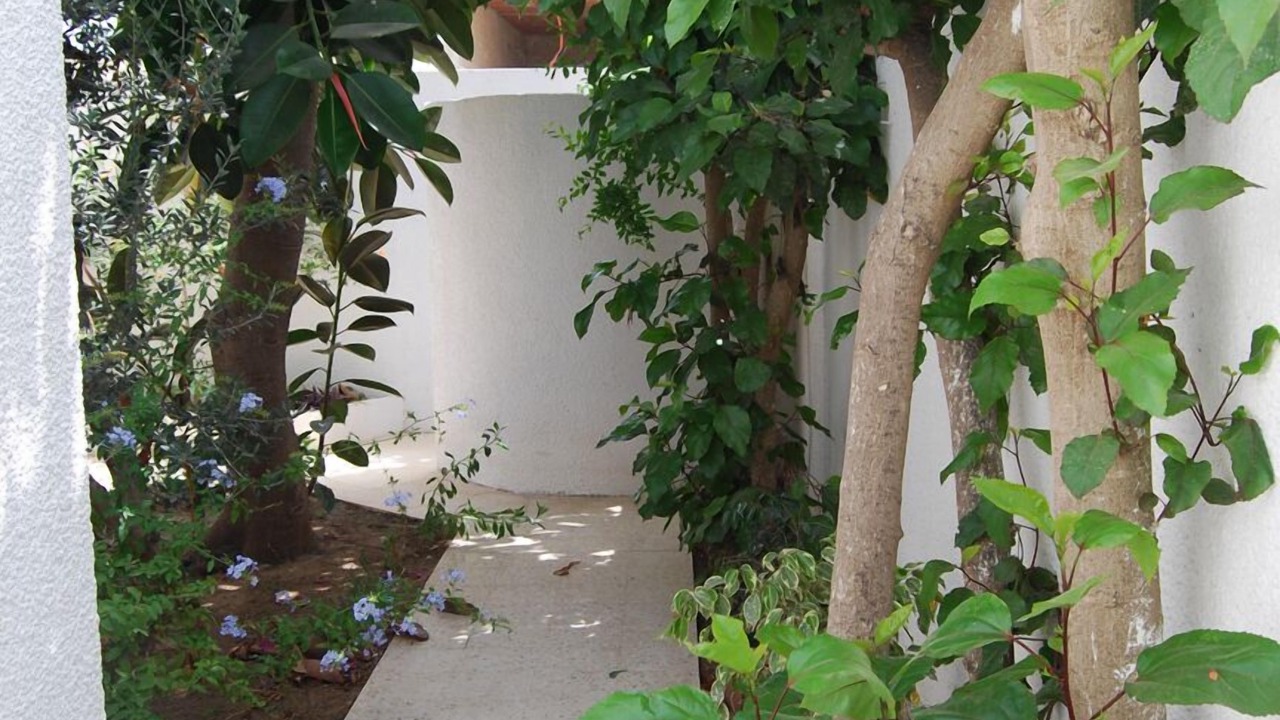 Photo of Outdoor in Soliman
