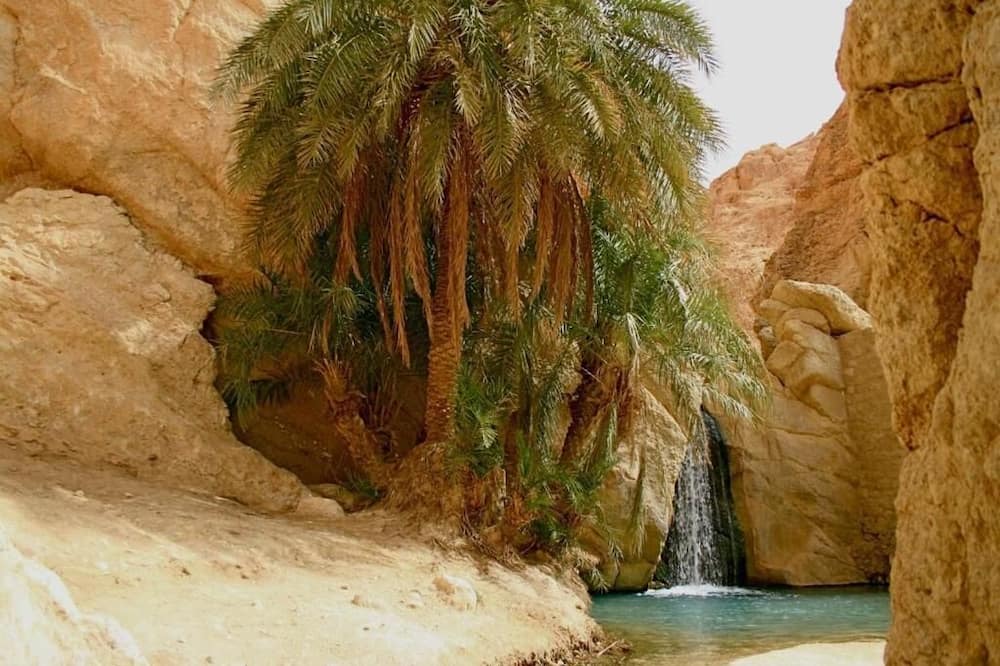 Photo of Outdoor in Shabikah