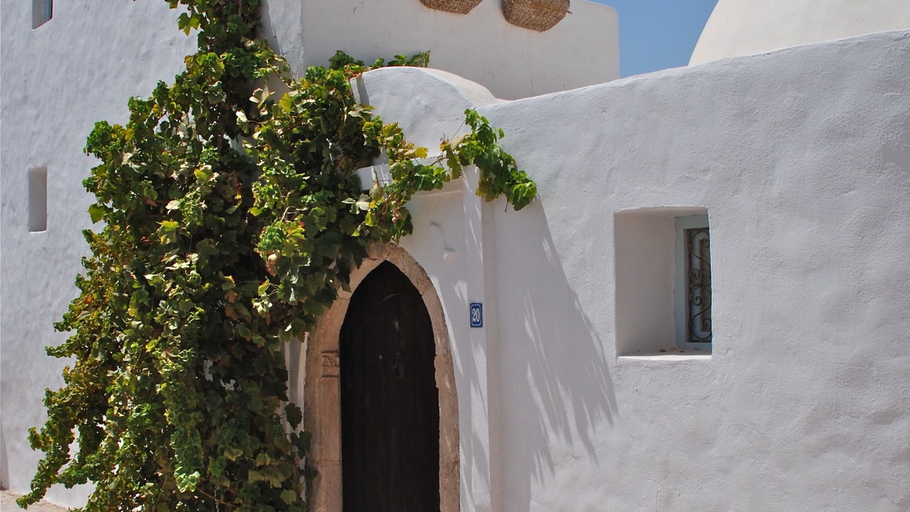 Photo of Outdoor in Erriadh