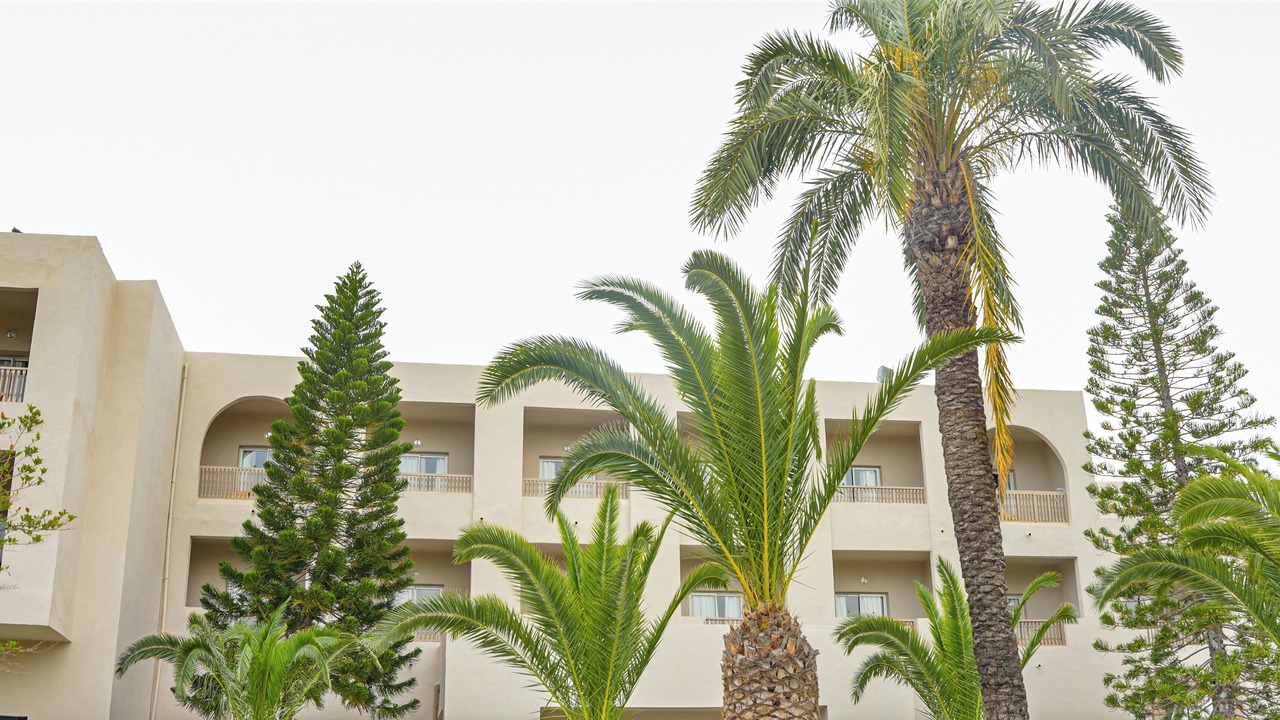 Photo of Others in Monastir