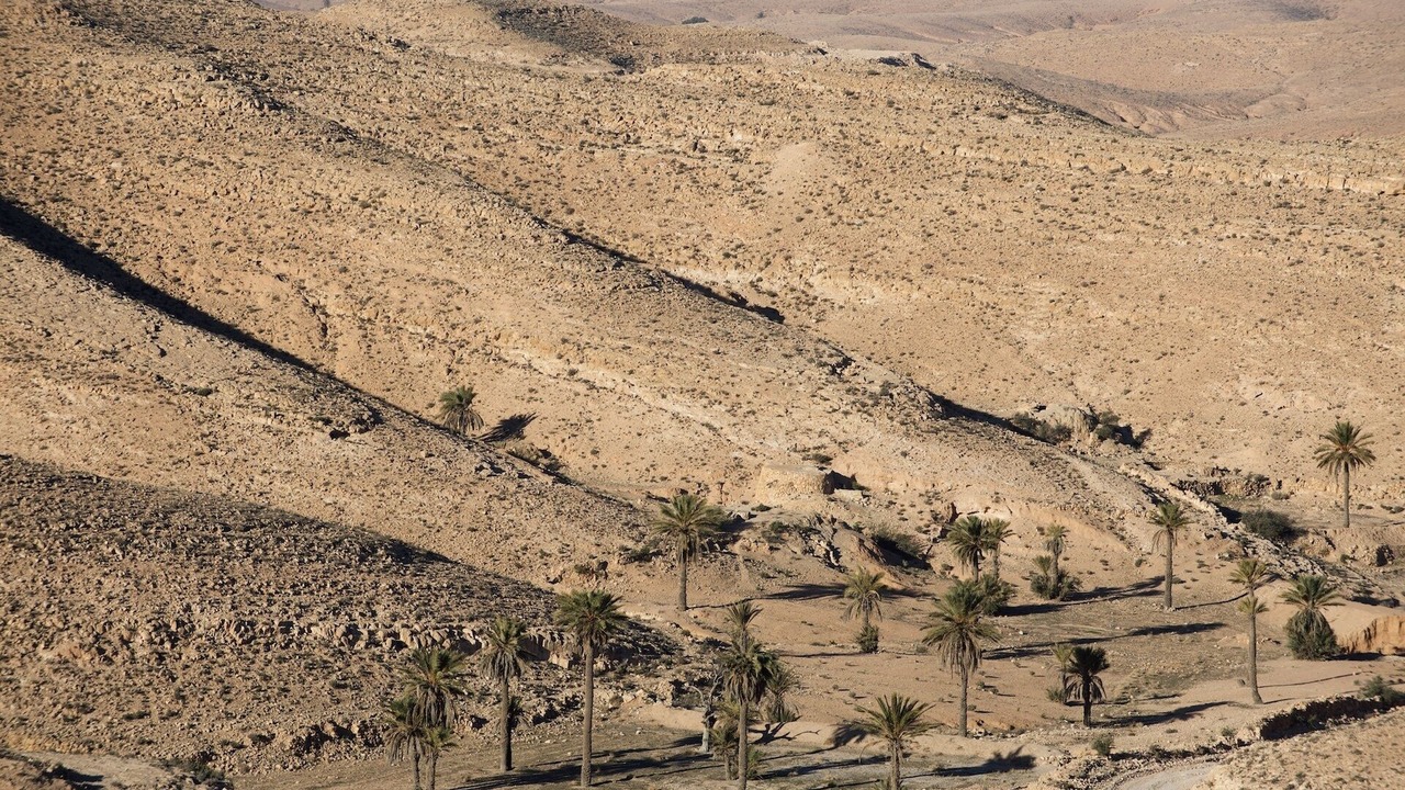 Photo of Outdoor in Tamazrat