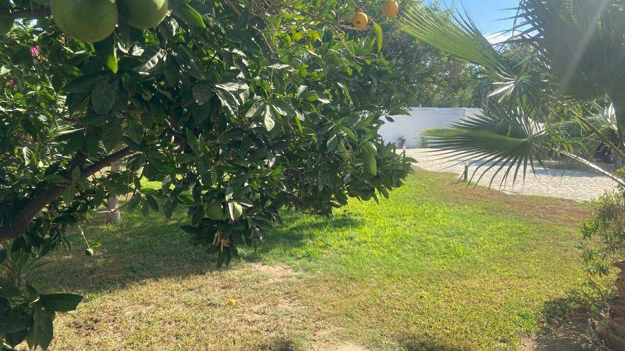 Photo of Outdoor in La Soukra
