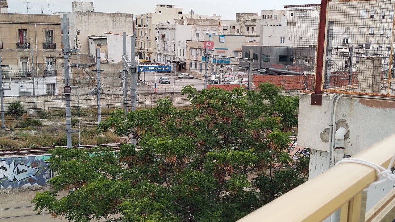 Photo of Outdoor in Tunis Centre