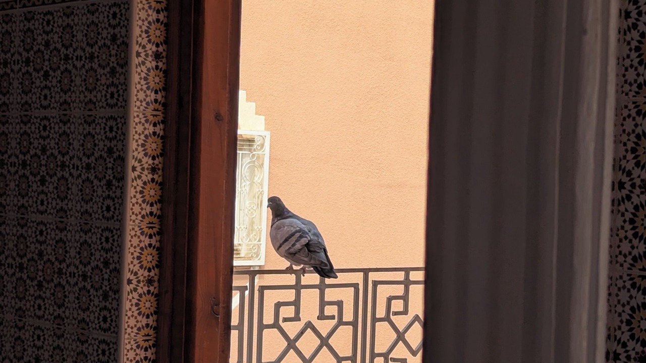 Photo of Others in Ouarzazate
