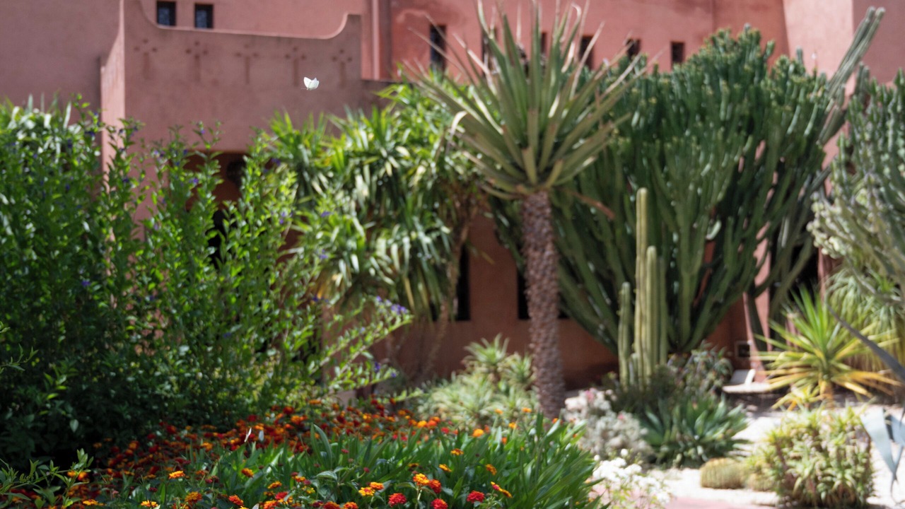 Photo of Outdoor in Sidi Abdallah Ghiat