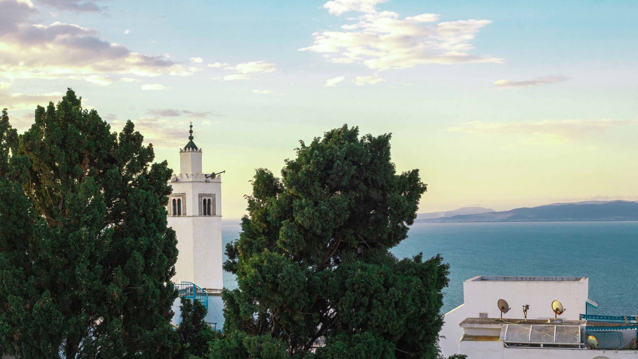 Photo of Others in Sidi Bou Said