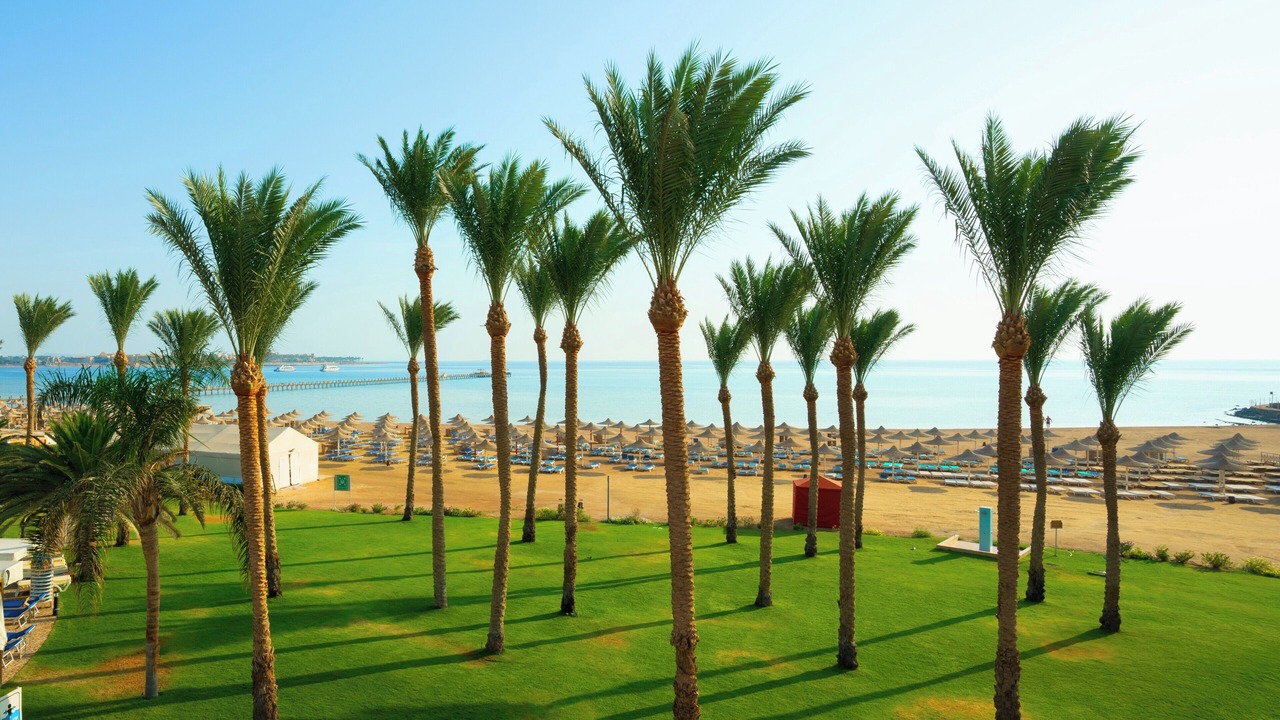 Photo of Others in Makadi Bay