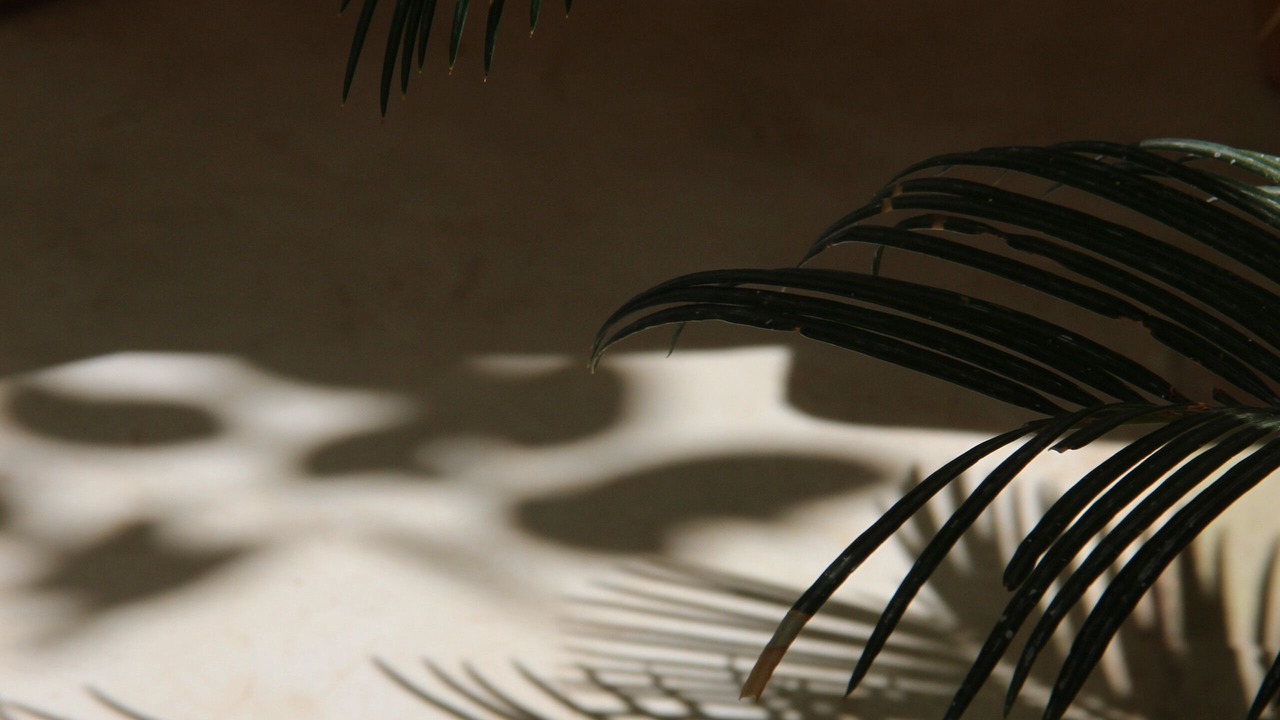Photo of Patio Balcony in Zaouia Sidi Rhalem