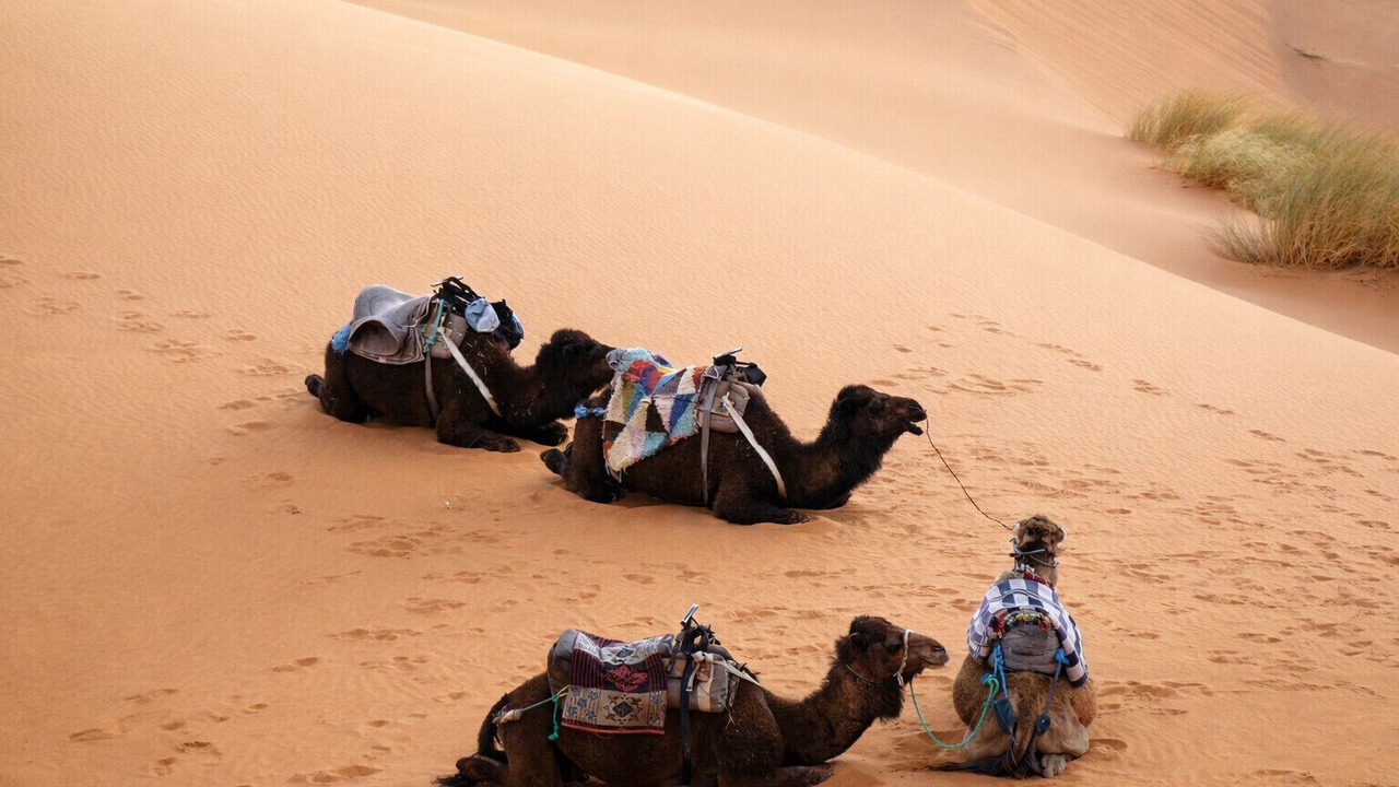 Photo of Outdoor in Hassilabied
