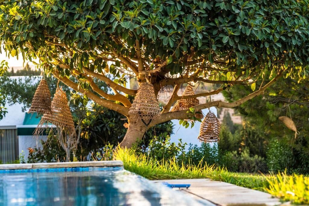 Photo of Outdoor in Hammamet