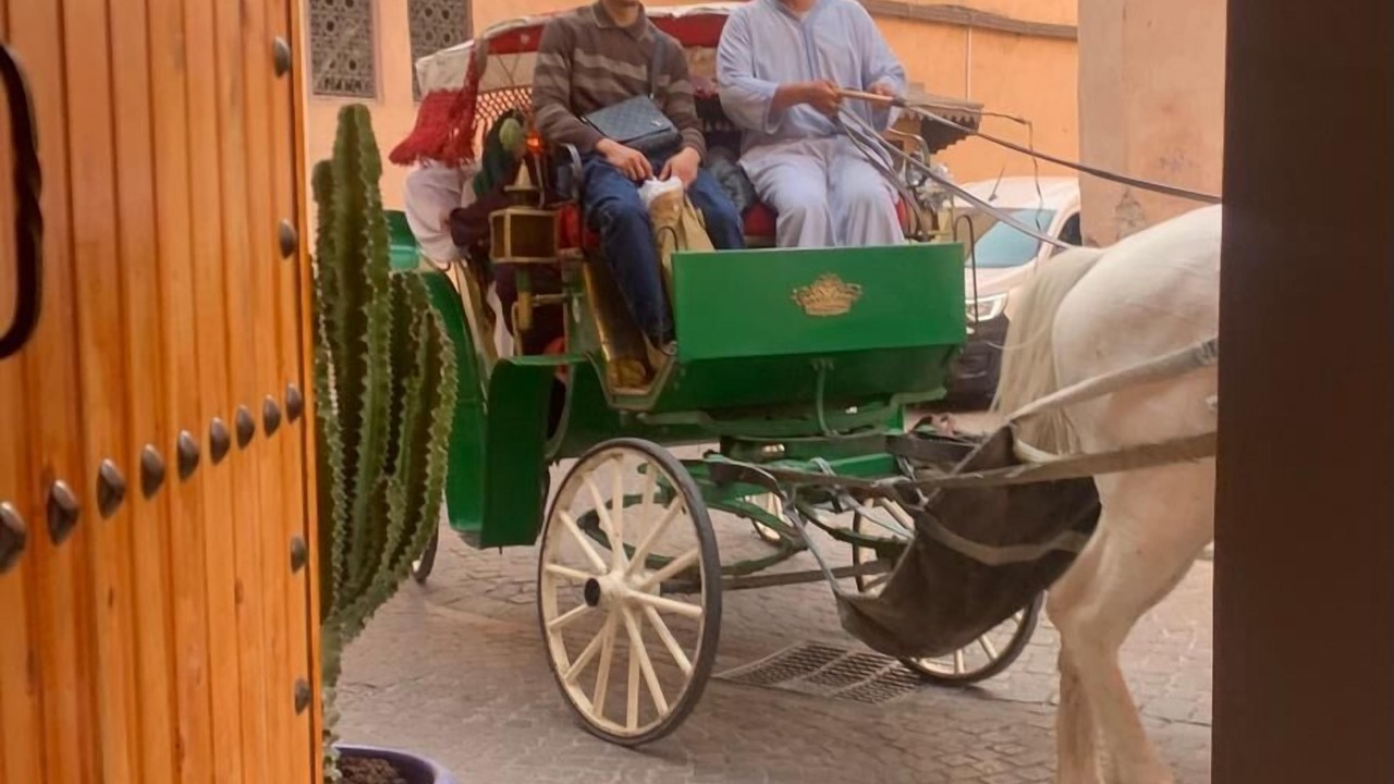 Photo of Outdoor in Mellah