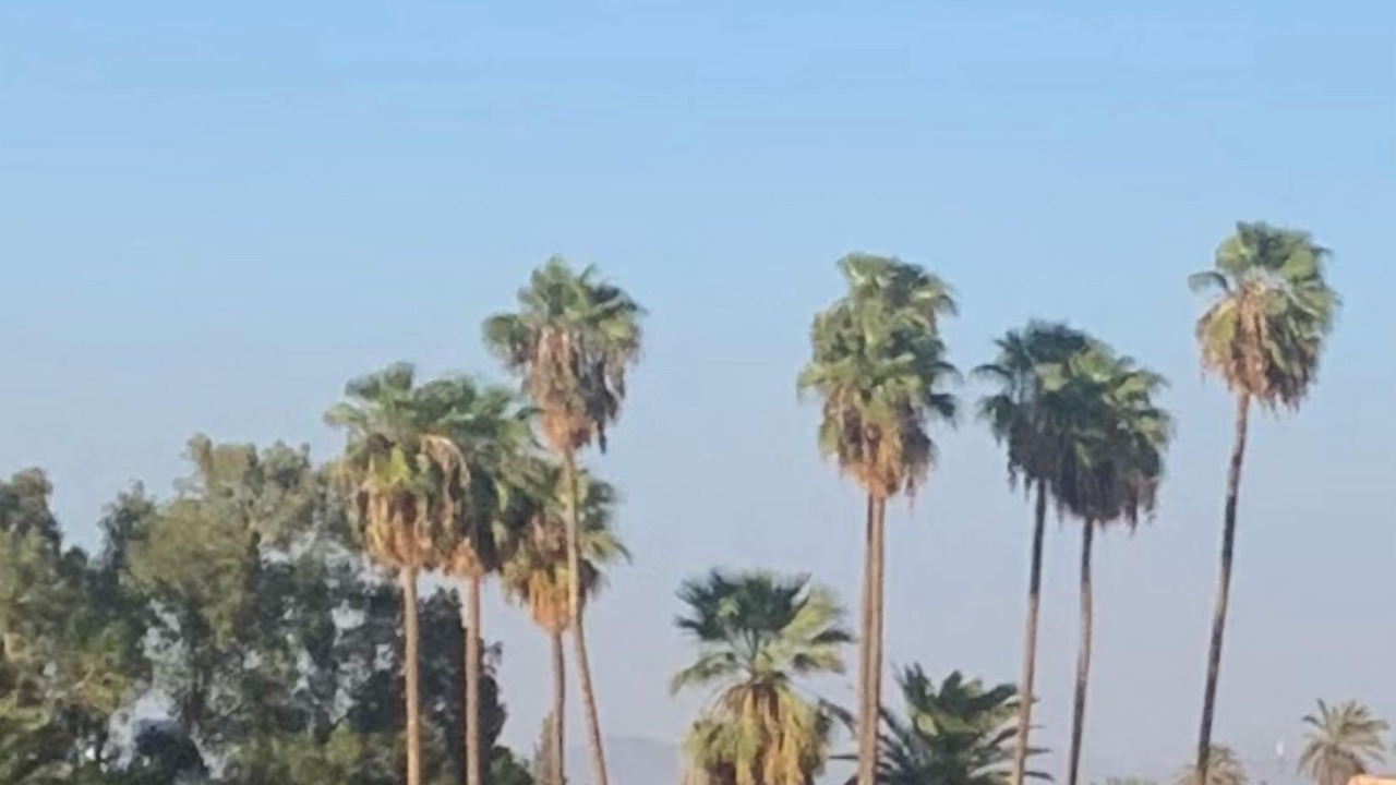 Photo of Outdoor in Mellah