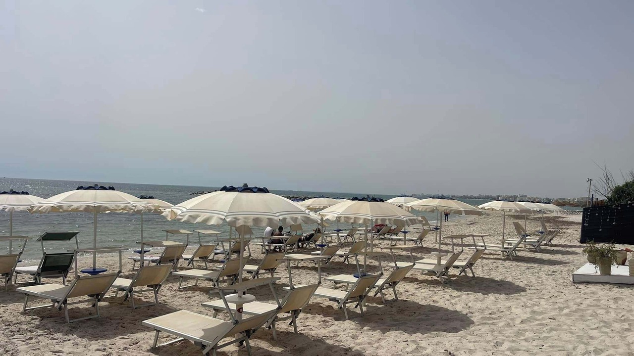Photo of Others in Hammam Sousse