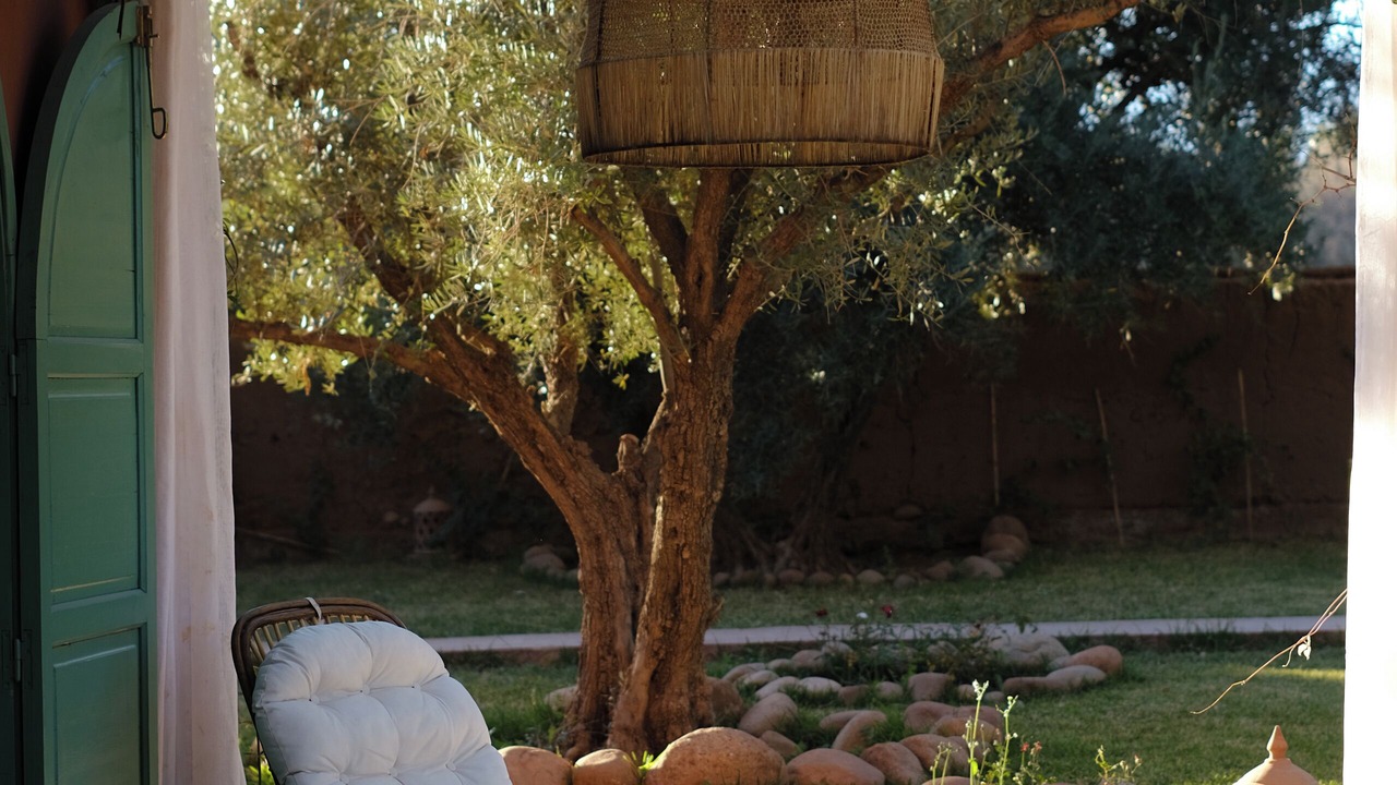 Photo of Outdoor in Tamazouzte