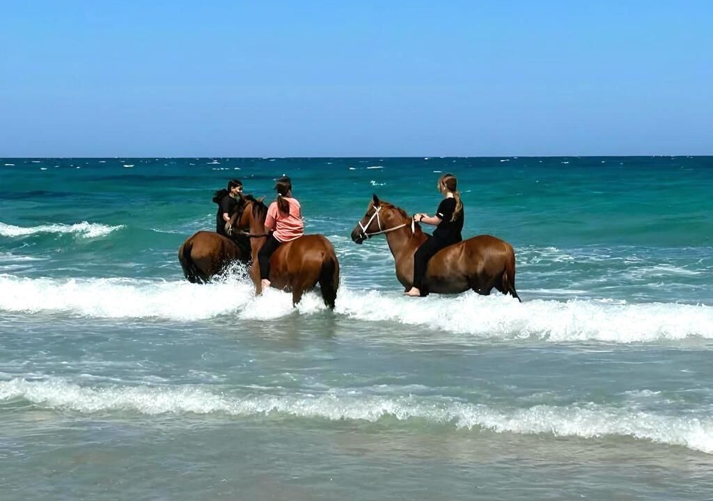 Photo of Outdoor in Bizerte