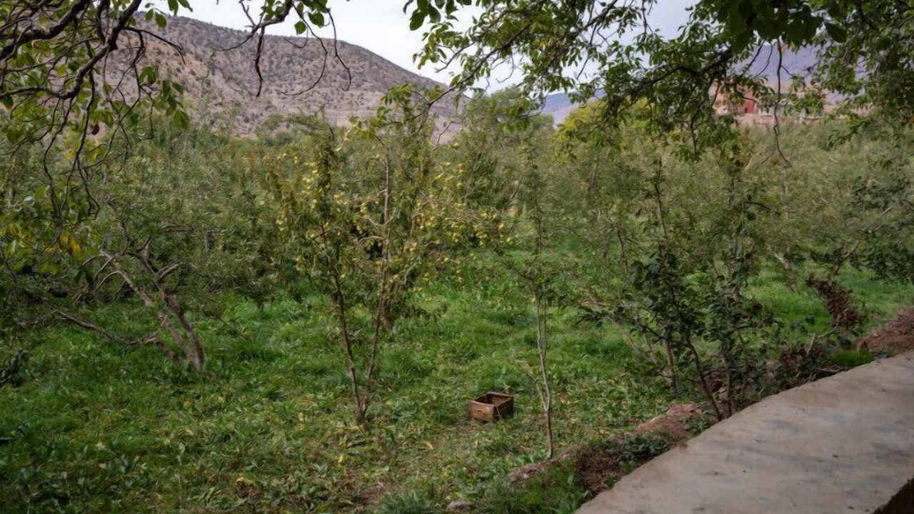 Photo of Outdoor in Tabant
