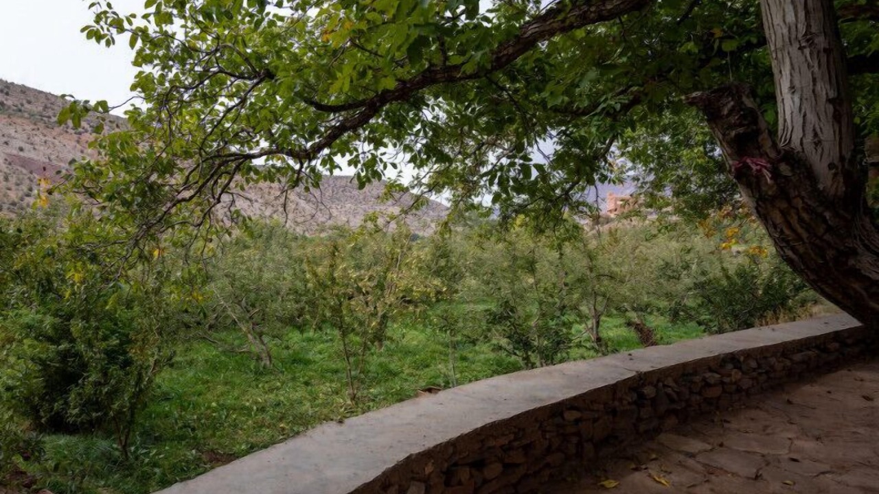 Photo of Outdoor in Tabant