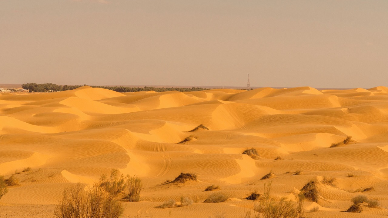 Photo of Outdoor in Ksar Ghilane