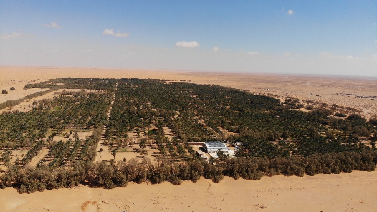 Photo of Outdoor in Ksar Ghilane
