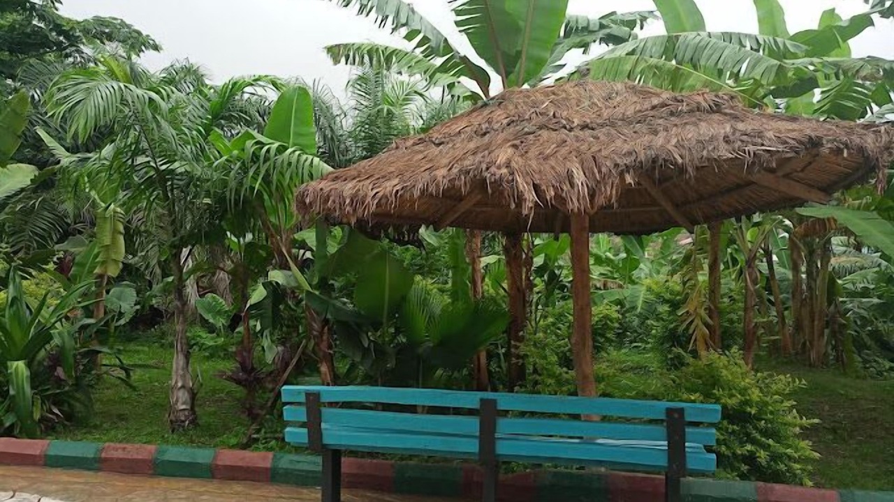 Photo of Outdoor in Osogbo