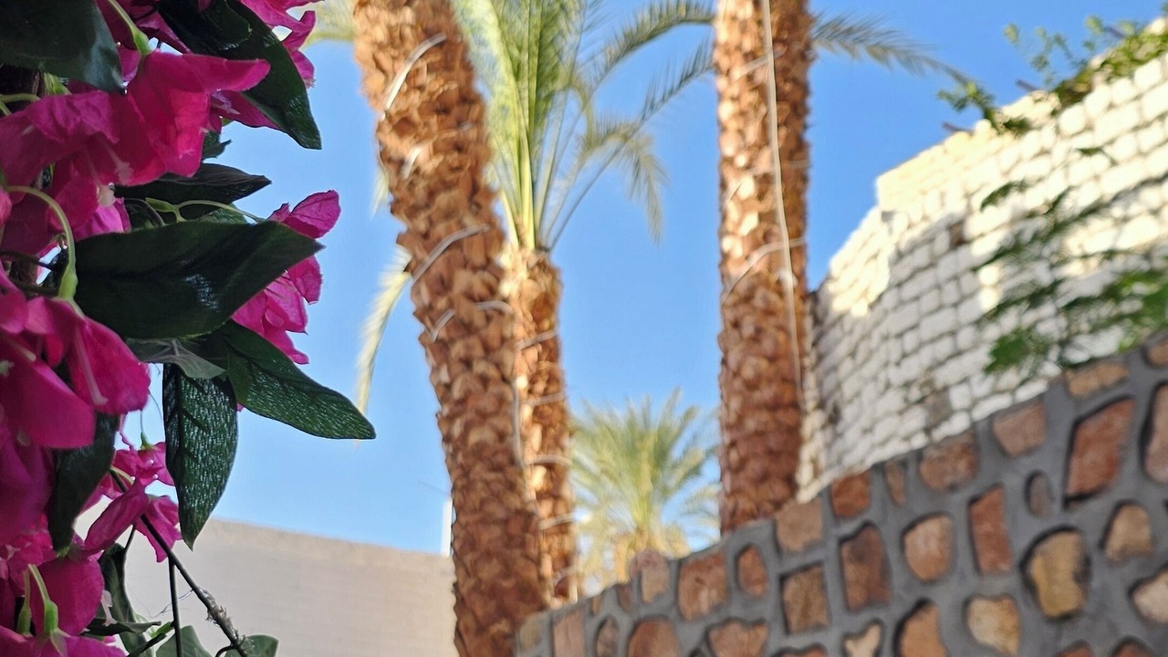 Photo of Outdoor in Aswan