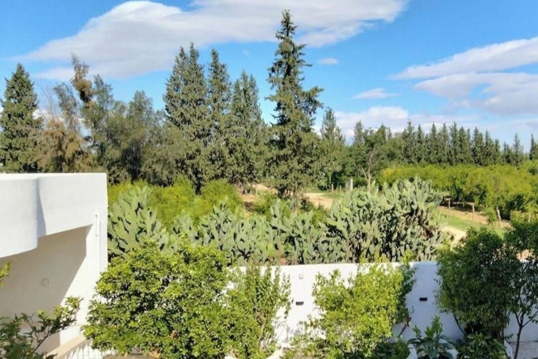 Photo of Outdoor in Kairouan