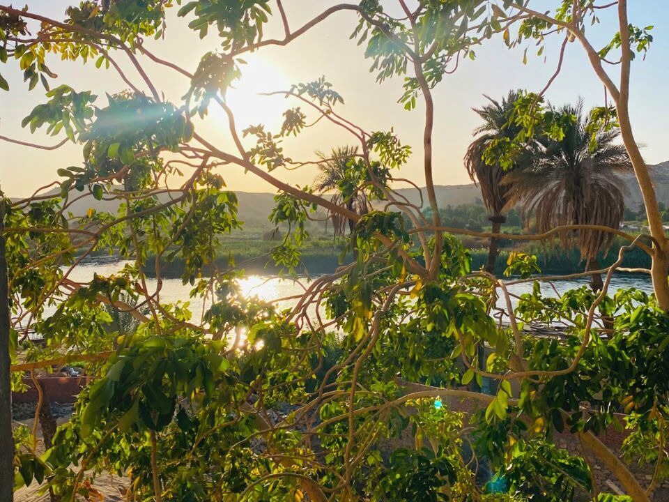 Photo of Others in Aswan