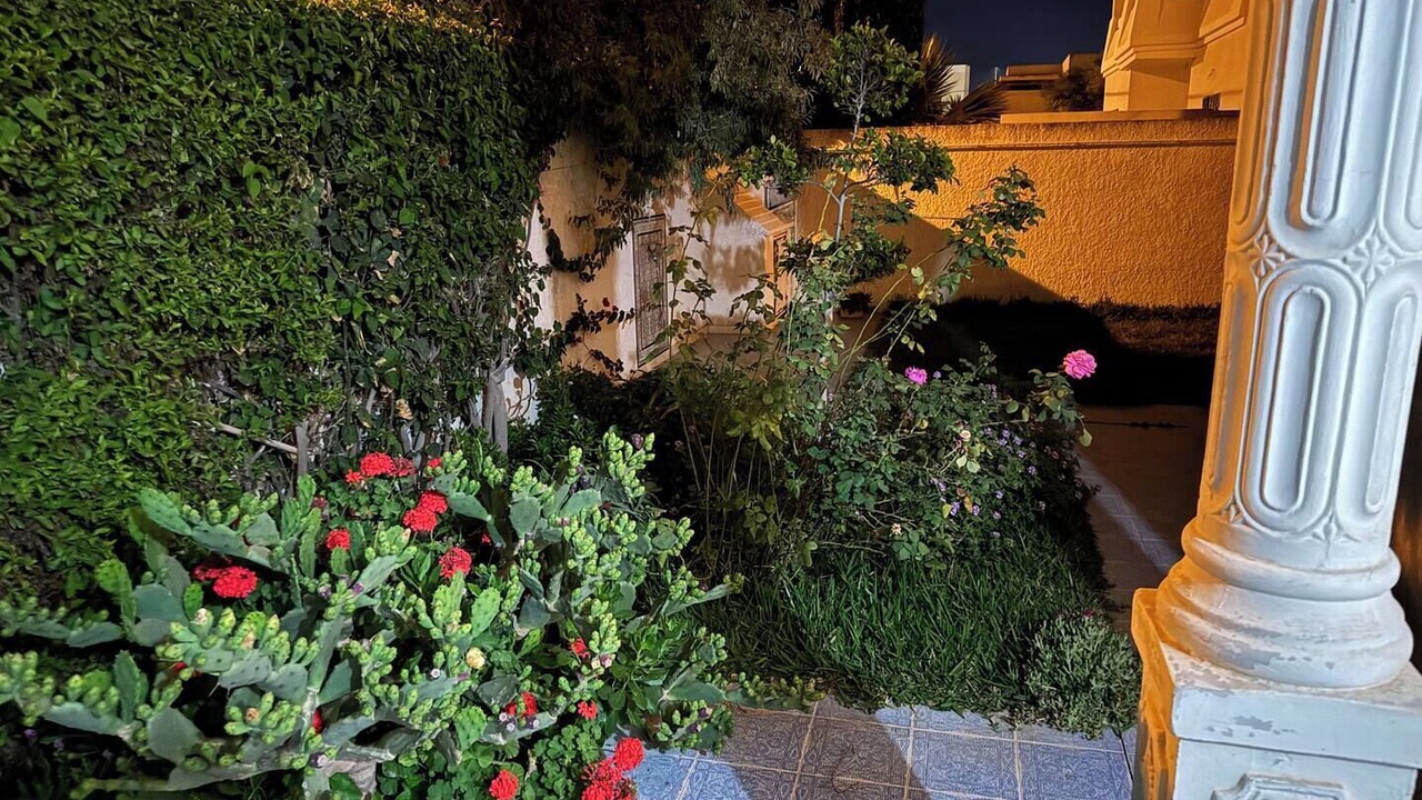 Photo of Outdoor in Korba
