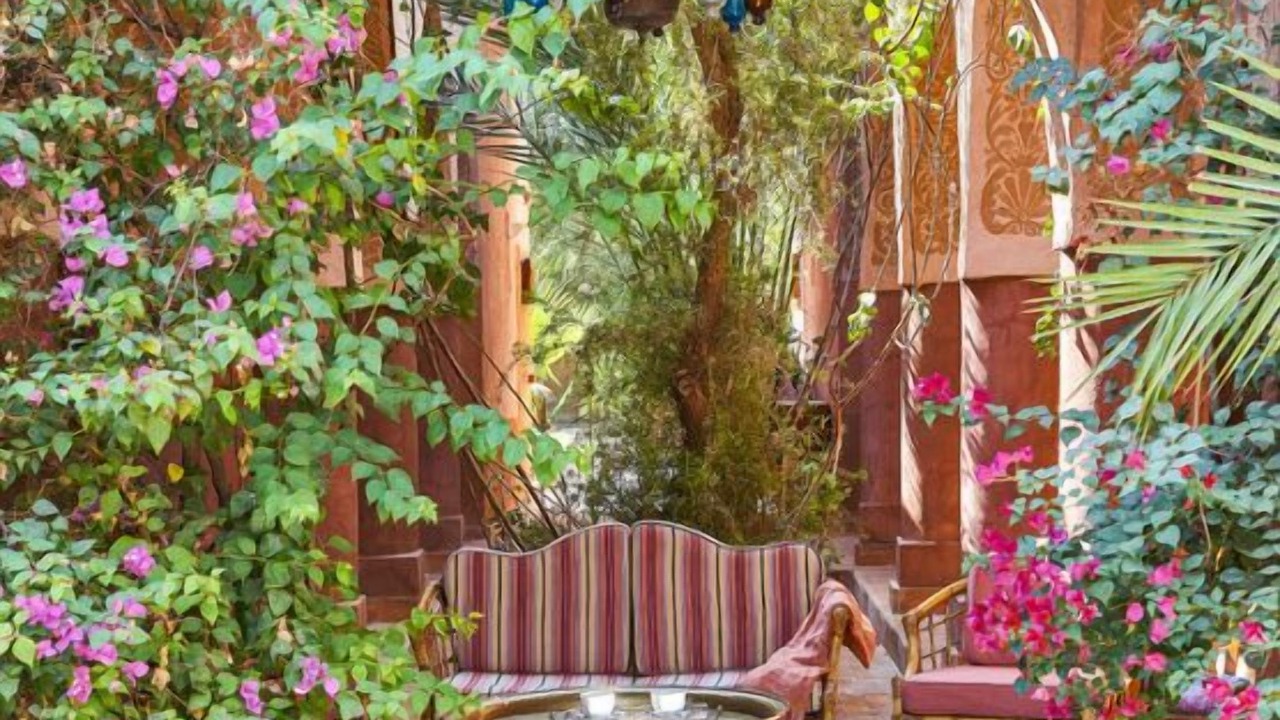 Photo of Outdoor in Luxor