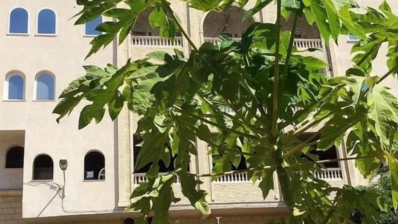 Photo of Outdoor in Sousse