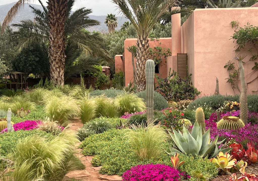Photo of Outdoor in Ait Hallouane