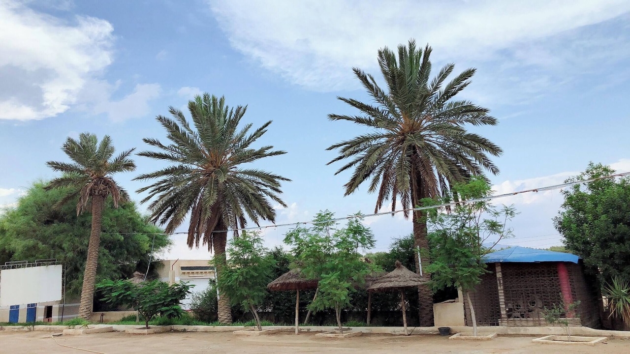 Photo of Outdoor in Kairouan Governate