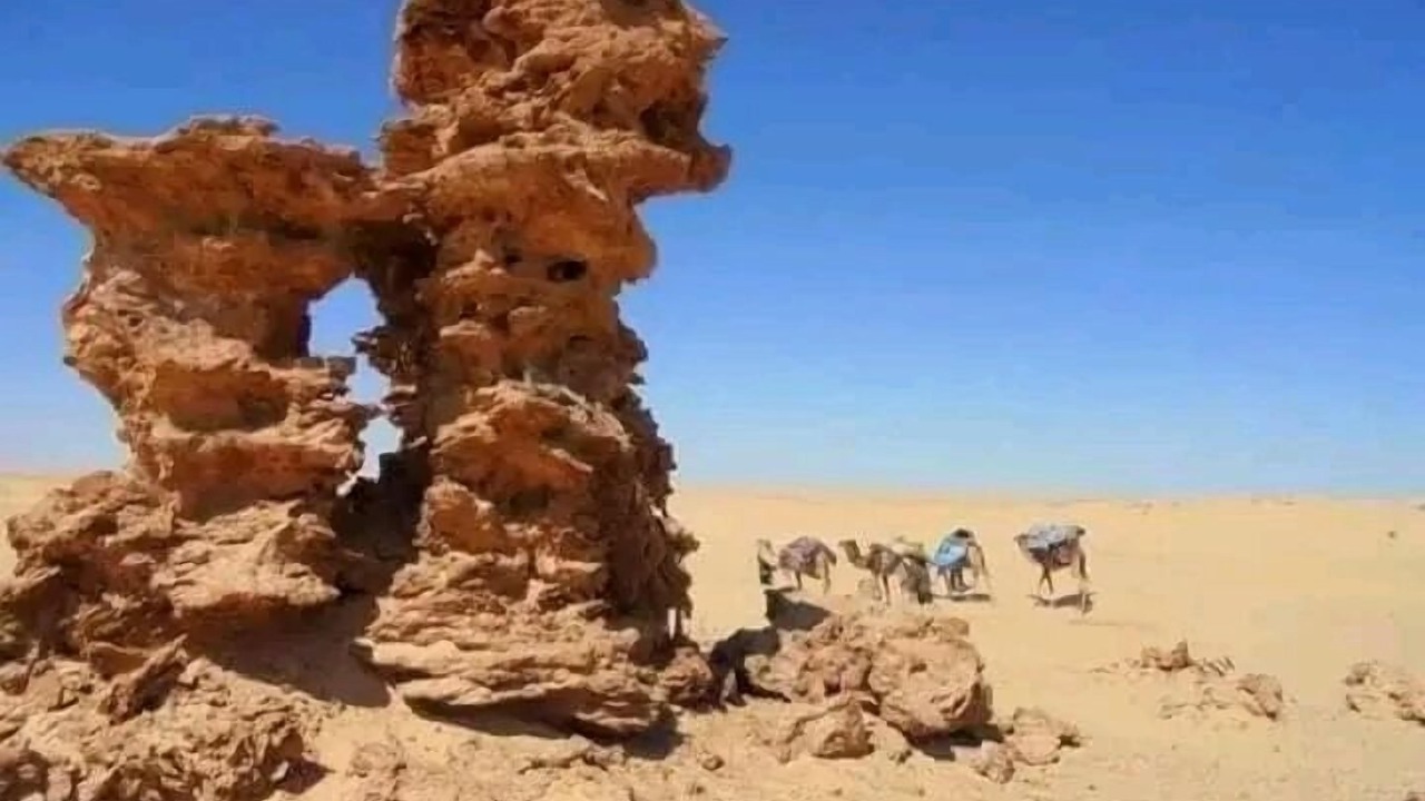 Photo of Outdoor in Douz