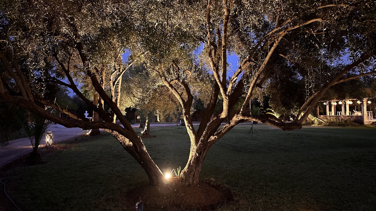 Photo of Outdoor in Chwiter