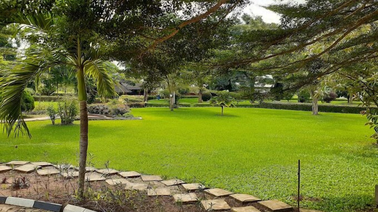 Photo of Outdoor in Ajerogun